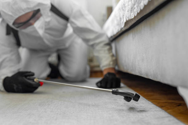 Professional Bed Bug Control technician working in Middleburg, FL