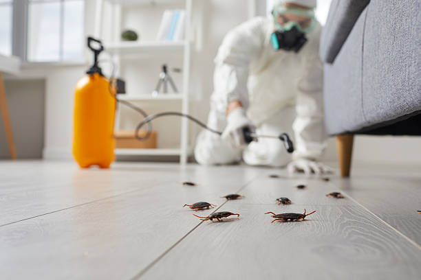 Trusted Fumigation Services service in Middleburg, FL - Nex Pest Control